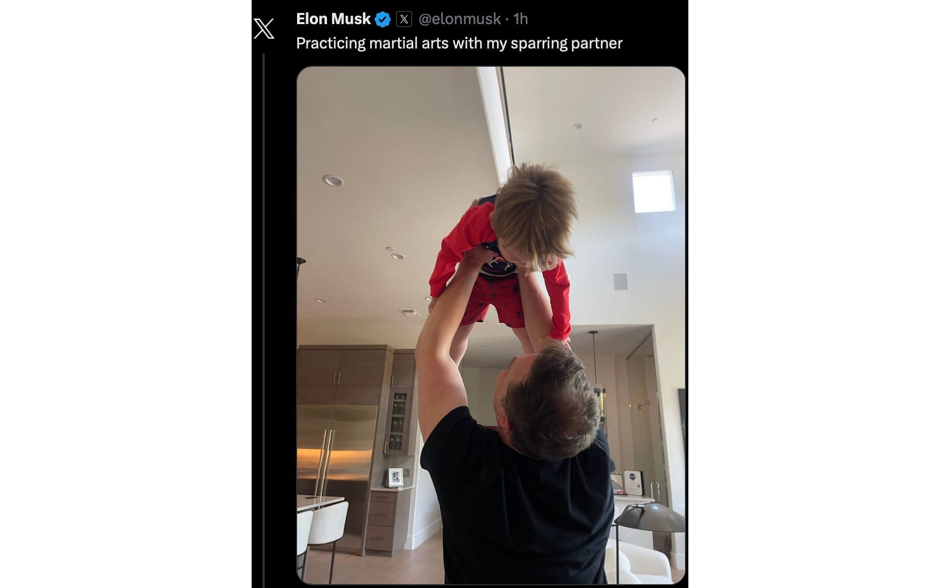 Screenshot from @elonmusk on Twitter