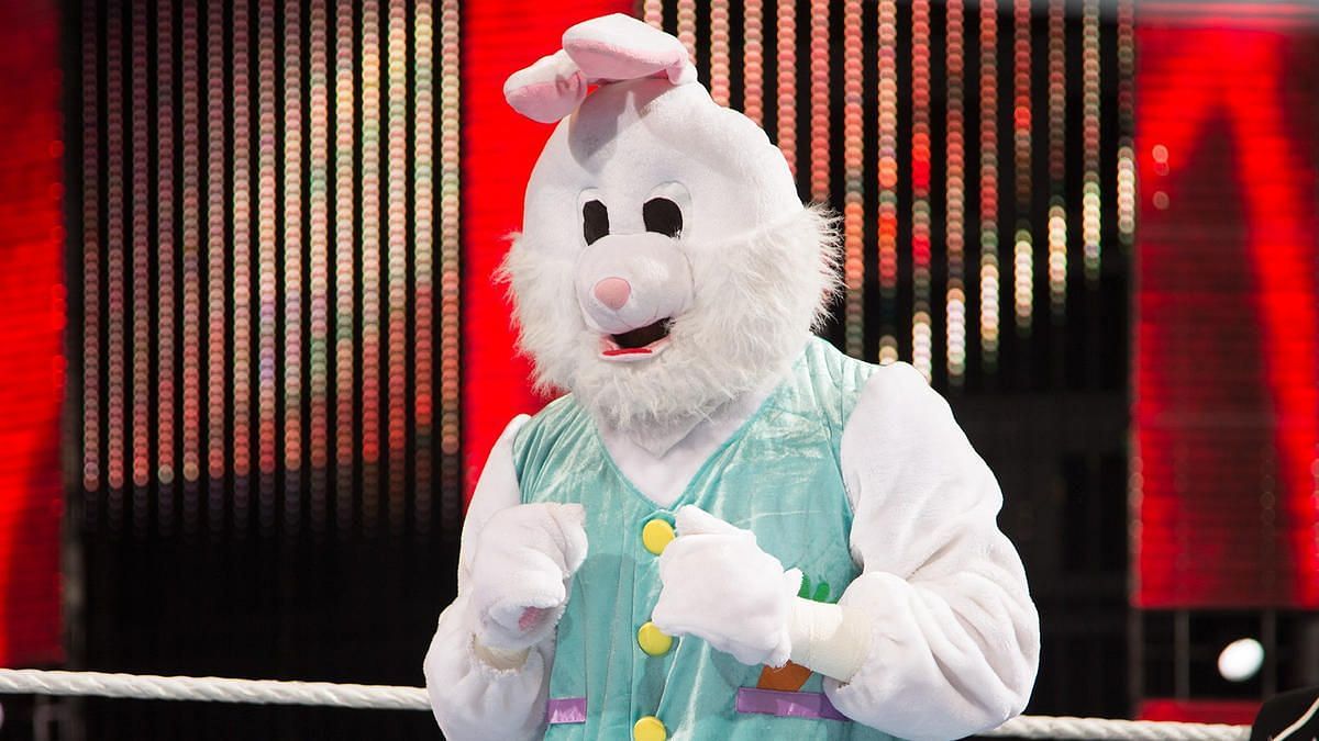 The Bunny used to fly off the top rope