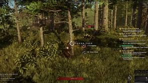 5 best gathering builds in New World (2024)