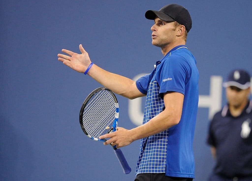 Andy Roddick recently expressed his views on American tennis fans exceedingly high expectations from him during his career