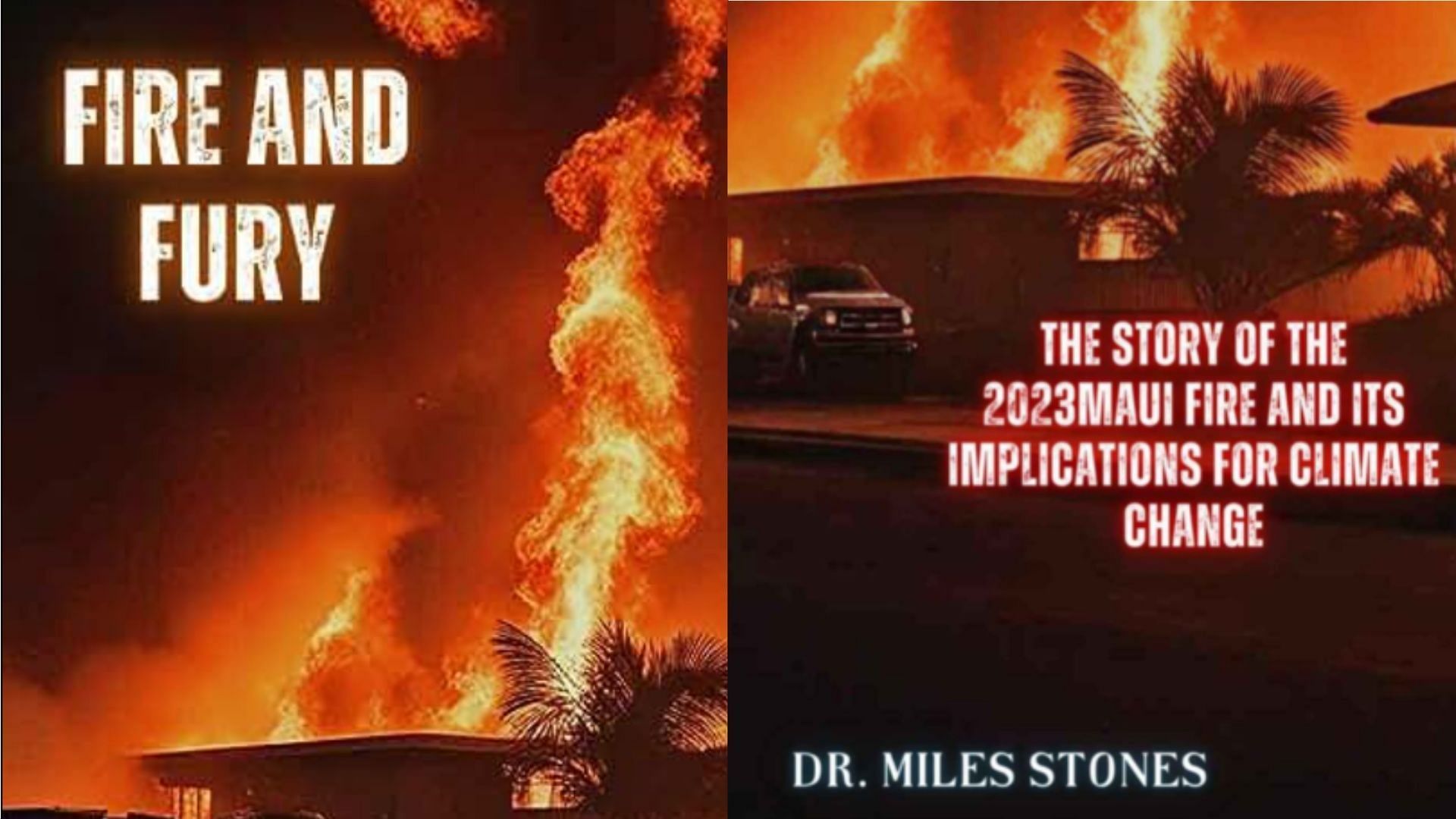 Fire And Fury is a latest book on Maui fires written by Dr. Miles Stones. (Image via Twitter/1776)