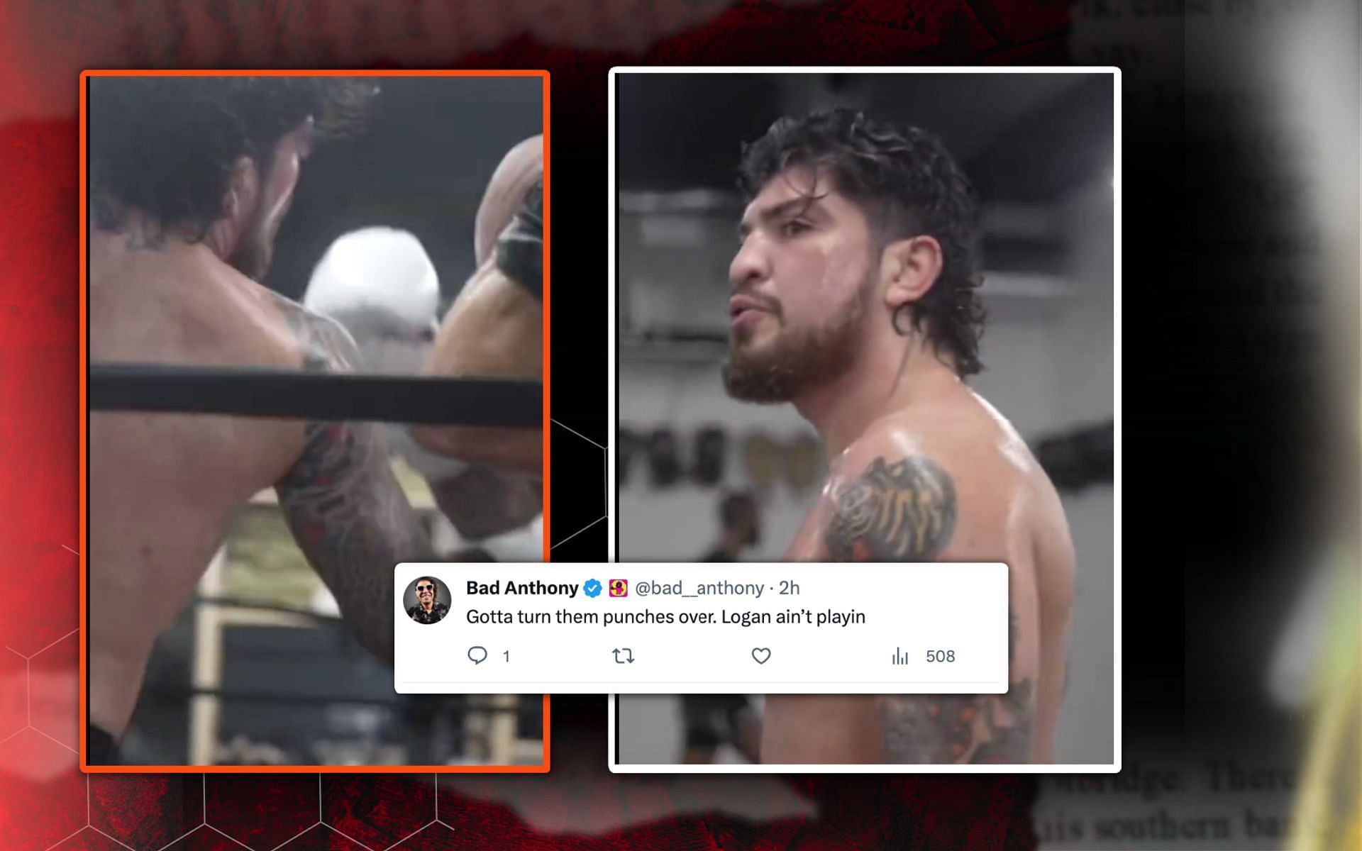  Dillon Danis
