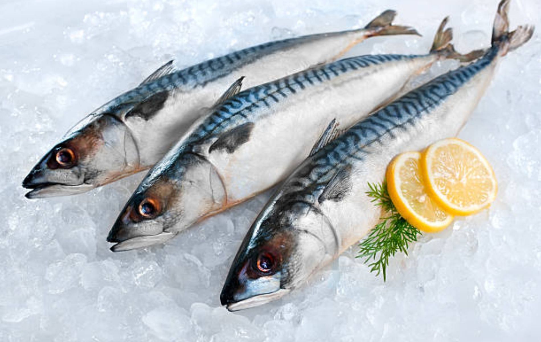 Mackerel provides ample quantities of healthy fats and selenium. (Image via iStockphotos)