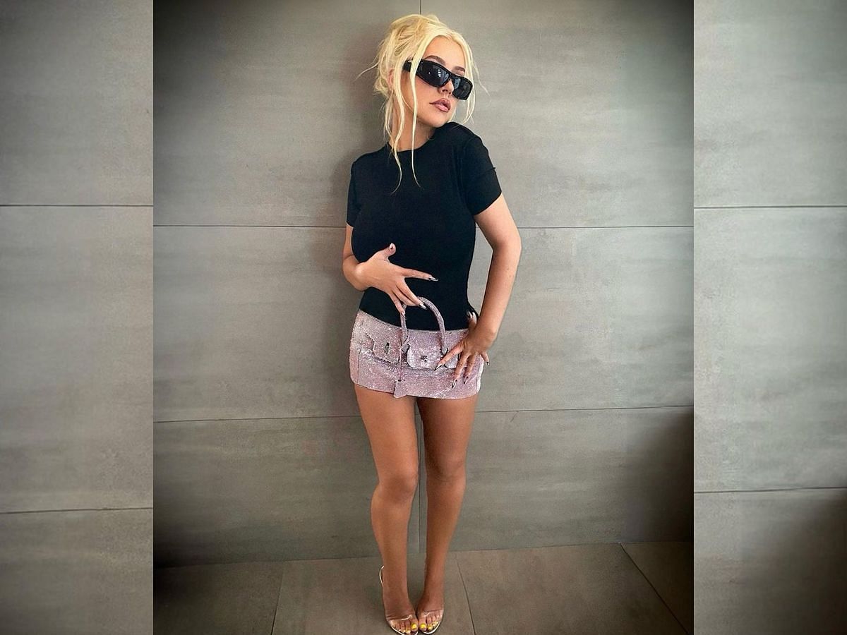 Christina Aguilera pink Birkin bag skirt (Image via @xtina/Instagram)