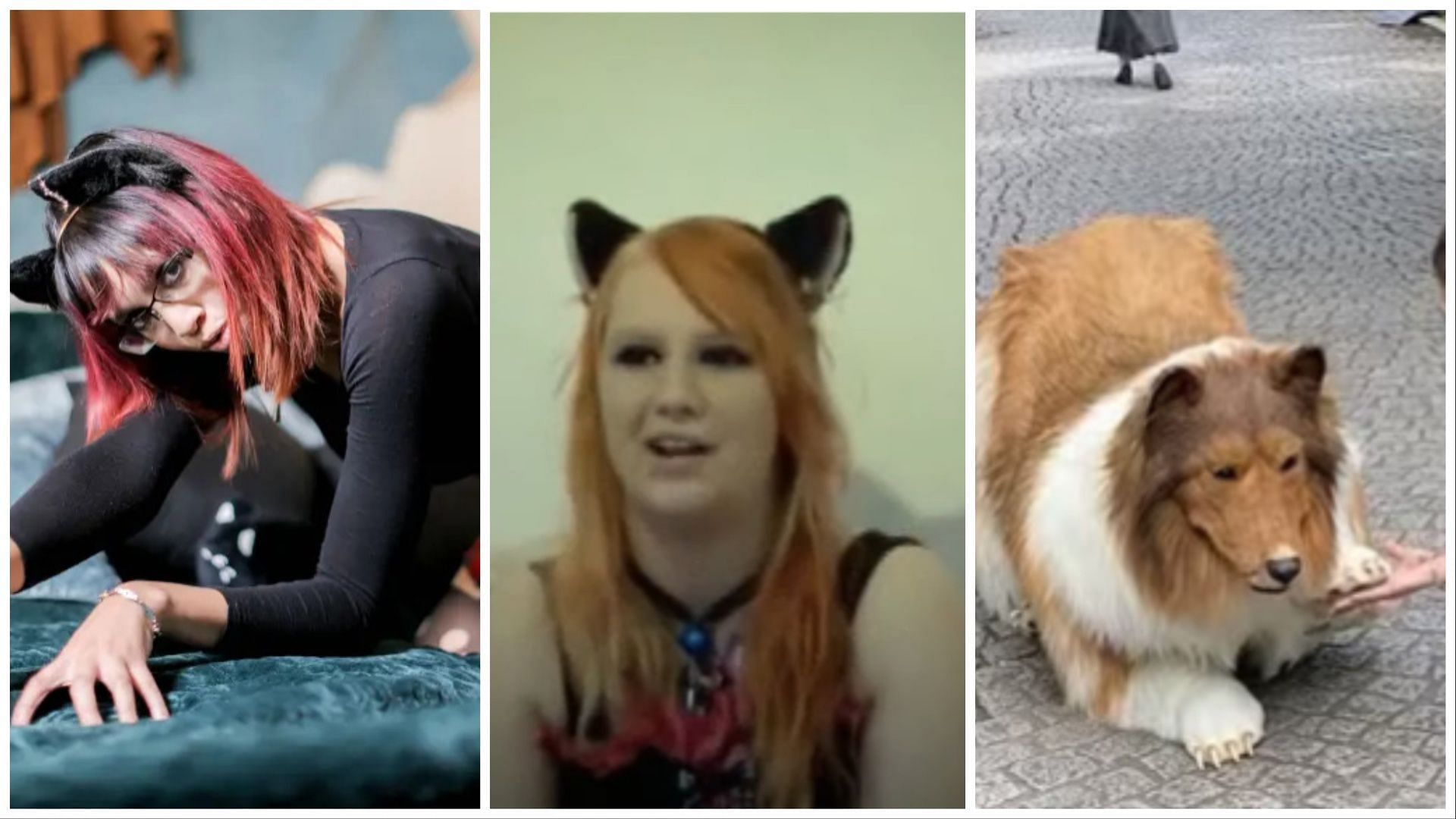 Furries and Therians - Are people really identifying as cats