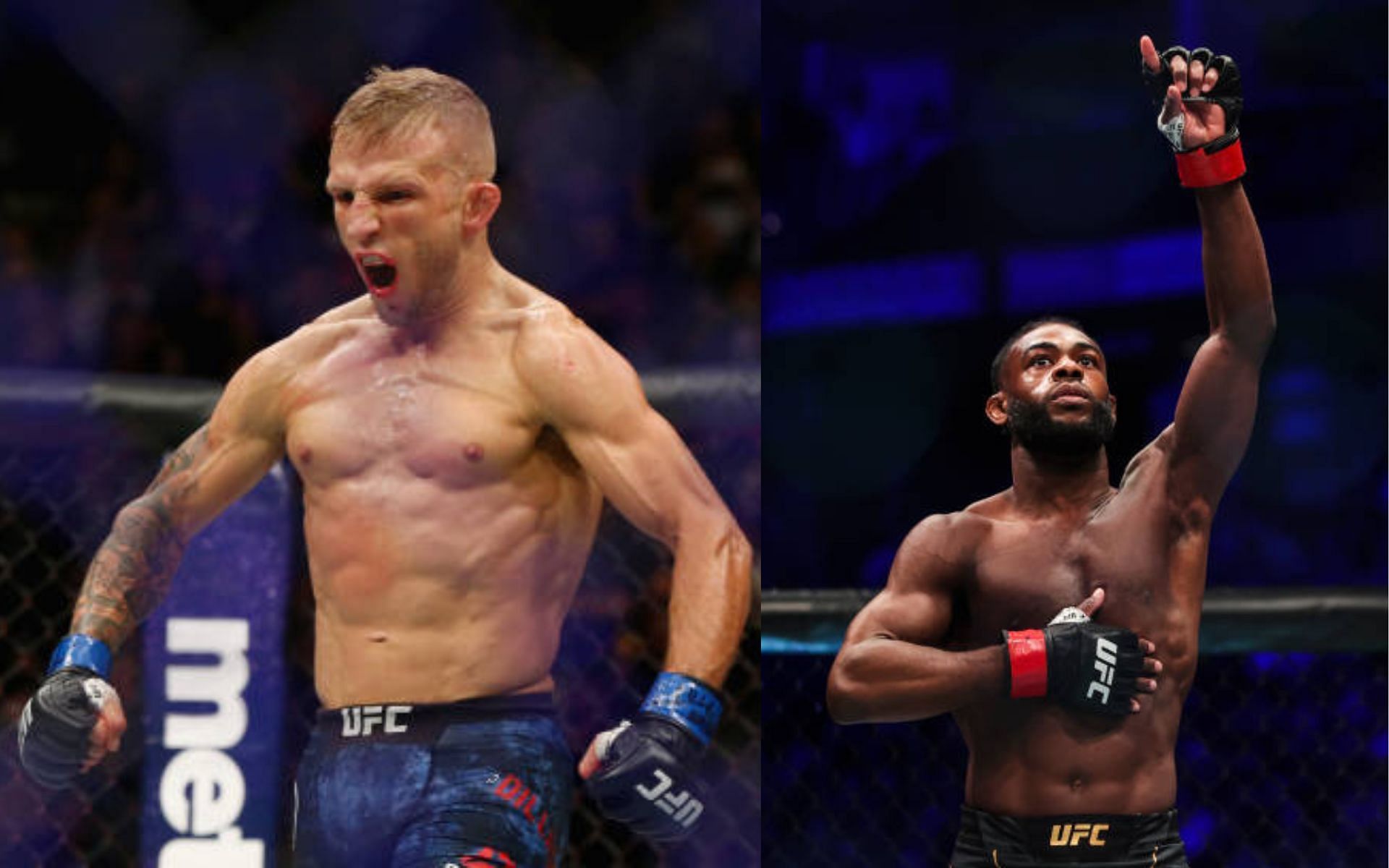 T.J. Dillashaw (left); Aljamain Sterling (right)