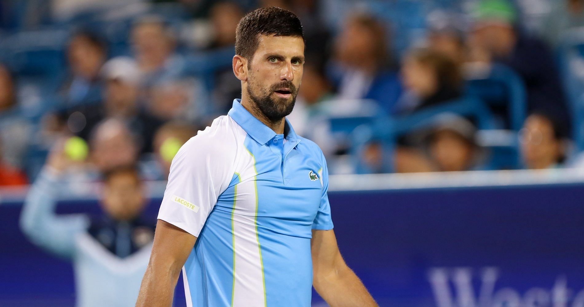 Novak Djokovic looks on at the 2023 Cincinnati Open