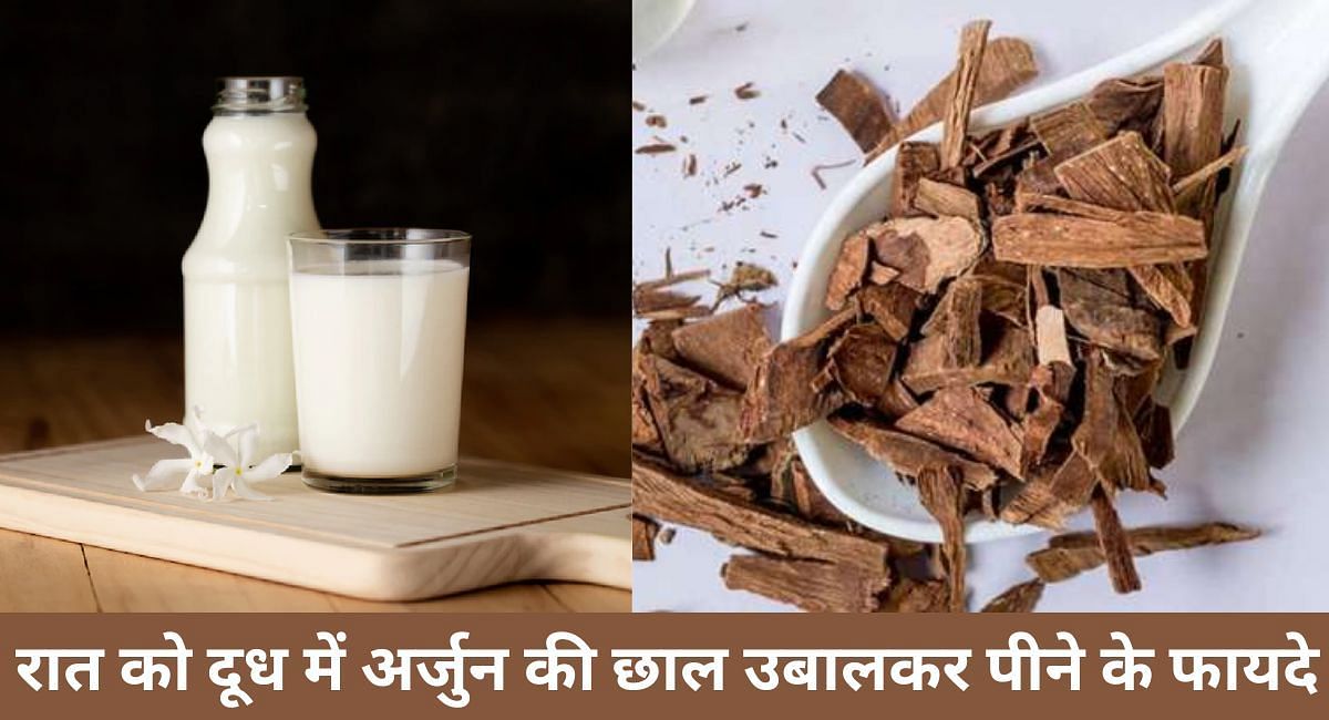 रात को दूध में अर्जुन की छाल उबालकर पीने के फायदे(फोटो-Sportskeeda hindi)