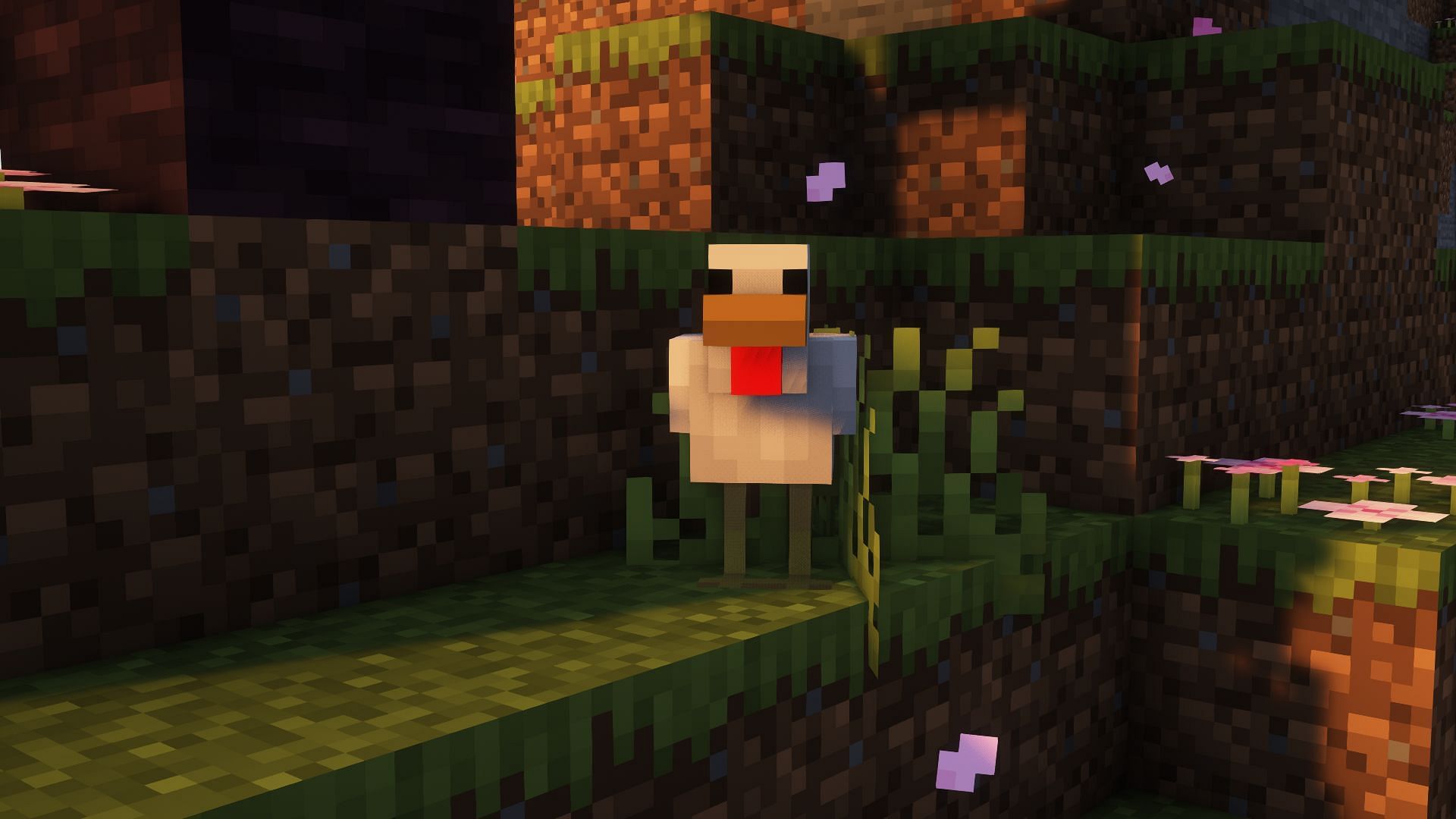 A chicken (Image via Mojang)