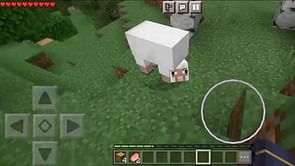 Minecraft player finds oddly shaped sheep in their new world