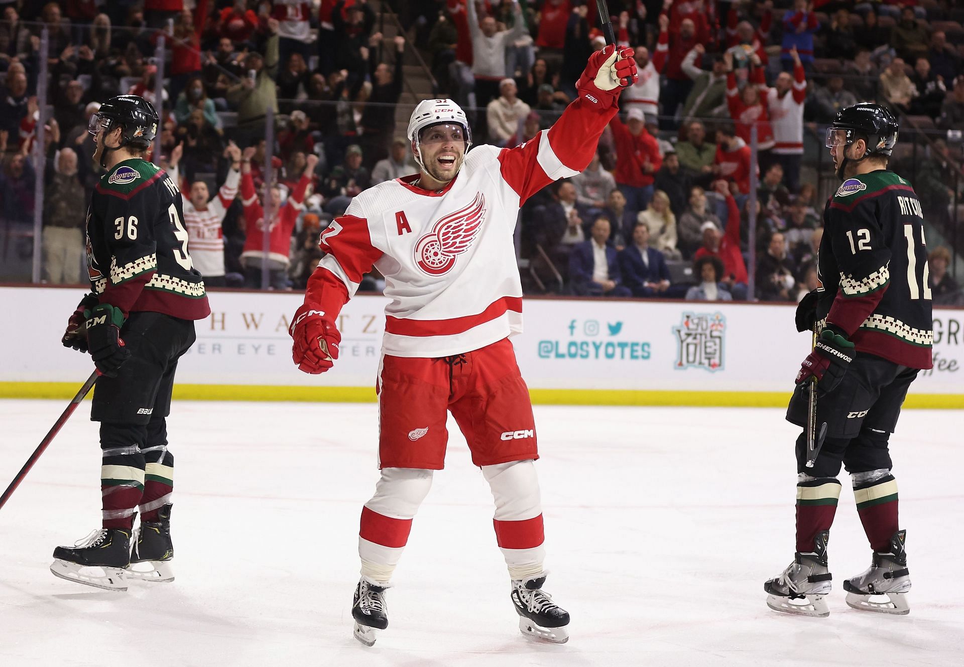 Detroit Red Wings v Arizona Coyotes