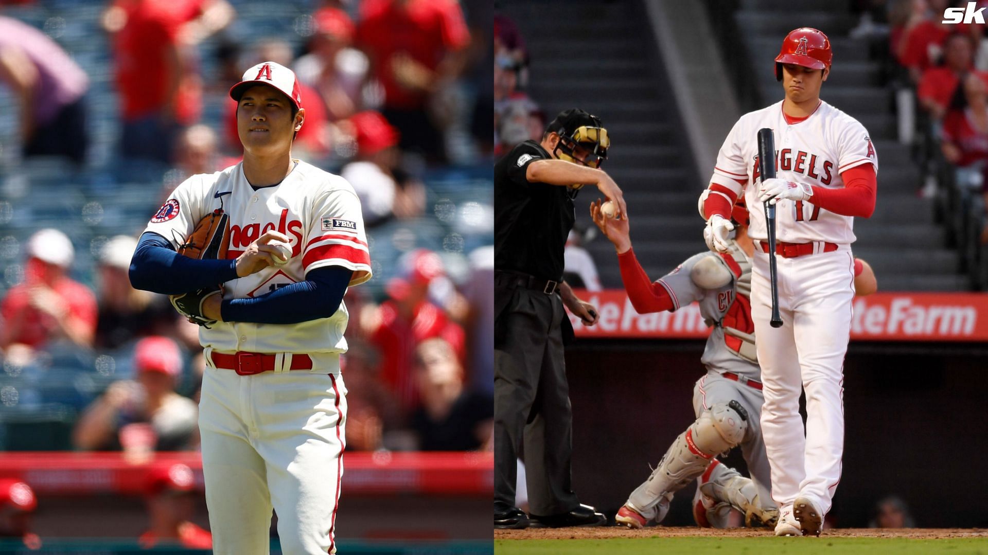 shohei ohtani: Shohei Ohtani injury update: MLB star tears UCL