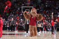 Portland Trail Blazers Mascot