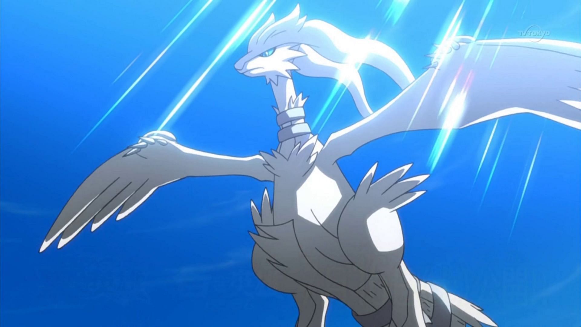 Reshiram in anime (Image via The Pokemon Company)