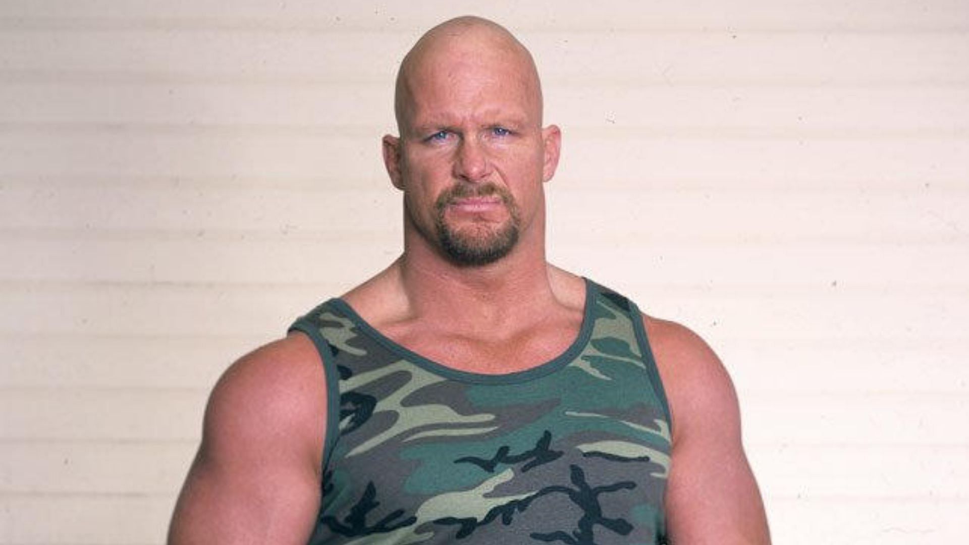 Steve Austin worked for WCW between 1991 and 1995