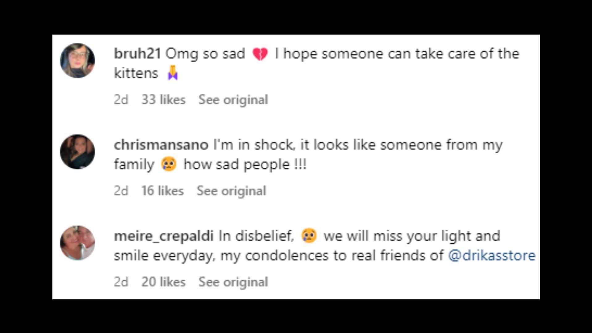 Netizens express their grief in the comments section (Image via drikasstore/Instagram)