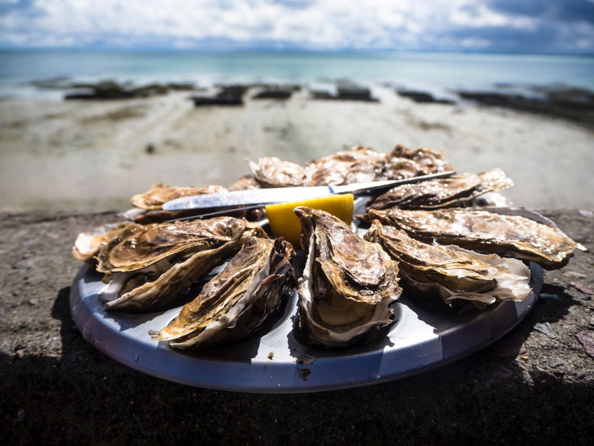FDA warns not to eat raw oysters from Connecticut due to potential