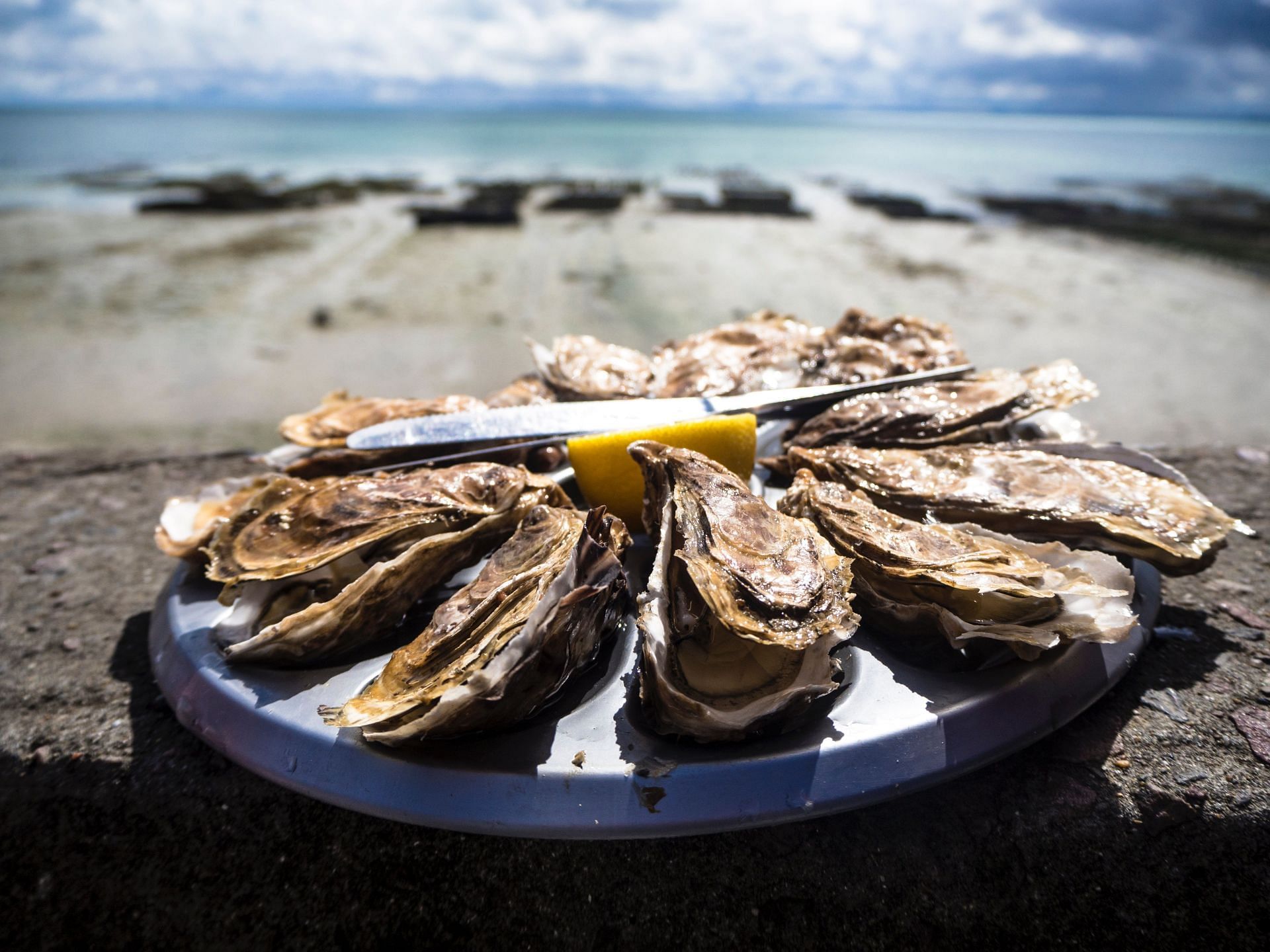 Oysters must be cooked well before consuming. (Image via Unsplash/ Tommaso Cantelli)