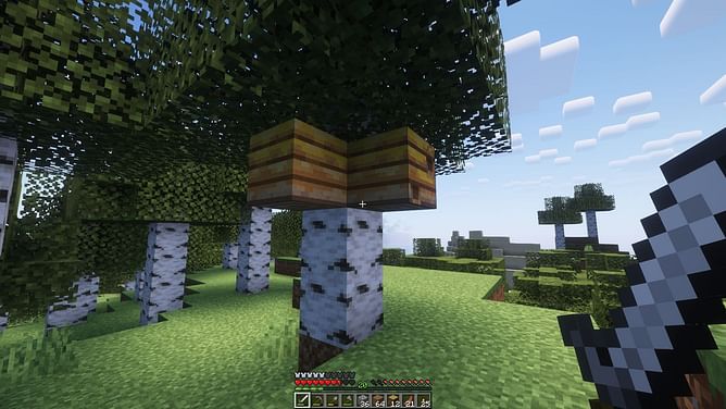 Minecraft player reportedly discovers two naturally generated bee nests on one tree