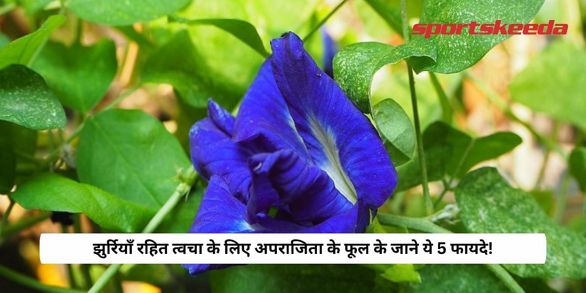 5 Benefits Of Butterfly Pea Flower For Wrinkle Free Skin!