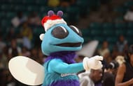 Charlotte HorNets' mascot, Hugo the HorNet