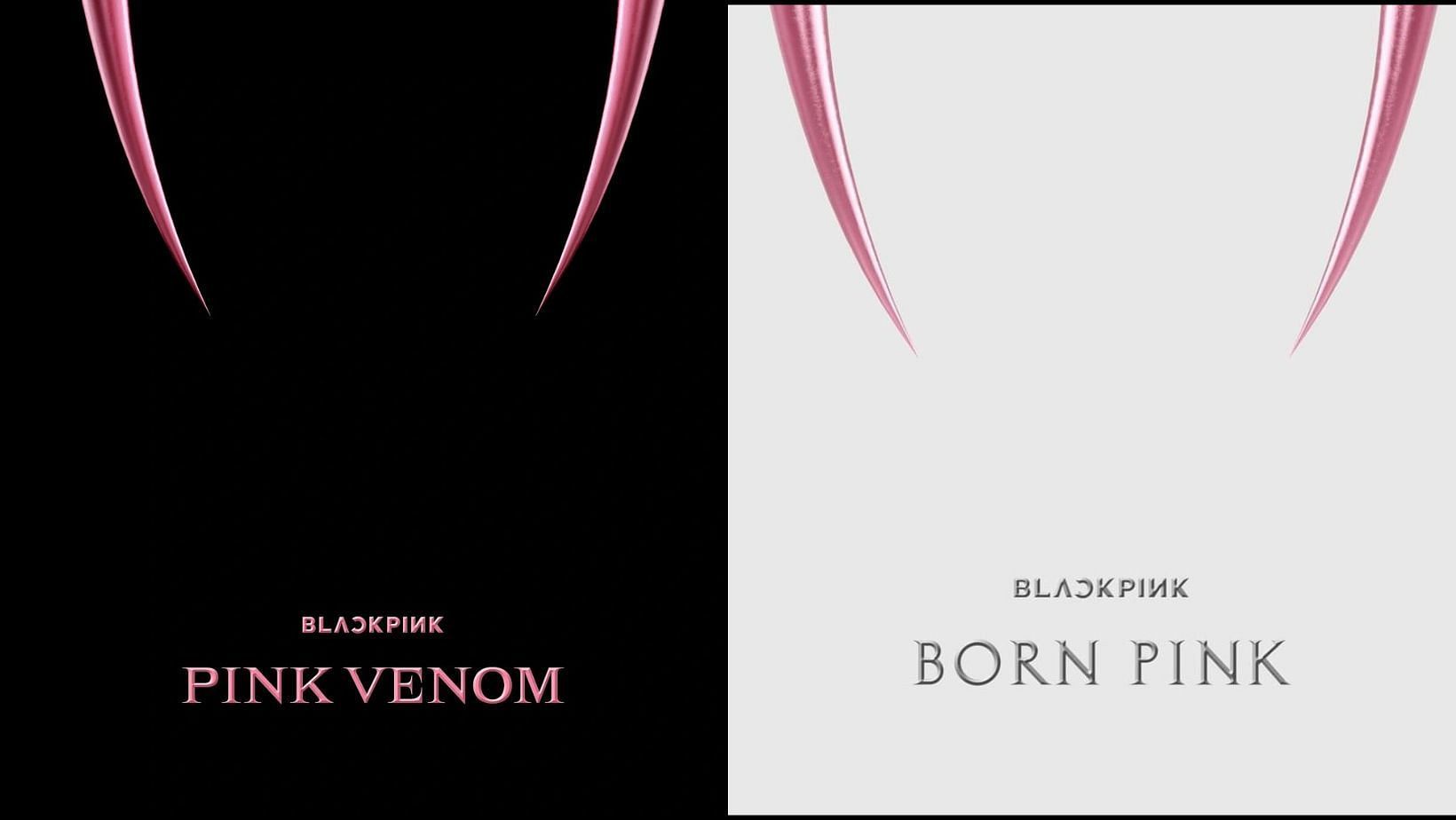 Born Pink and Pink Venom 2022 (Images via @BLACKPINK)