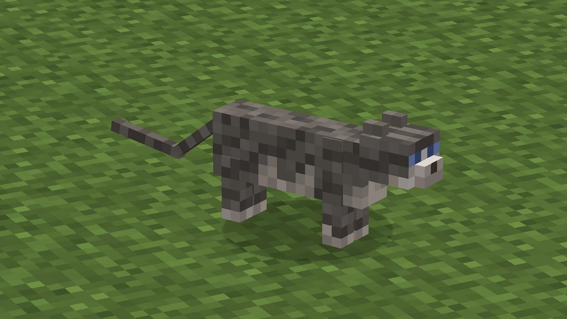 Gray tabby cat in Minecraft (Image via Mojang)