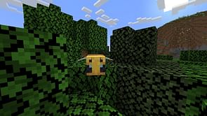 7 things you may not know about bees in Minecraft