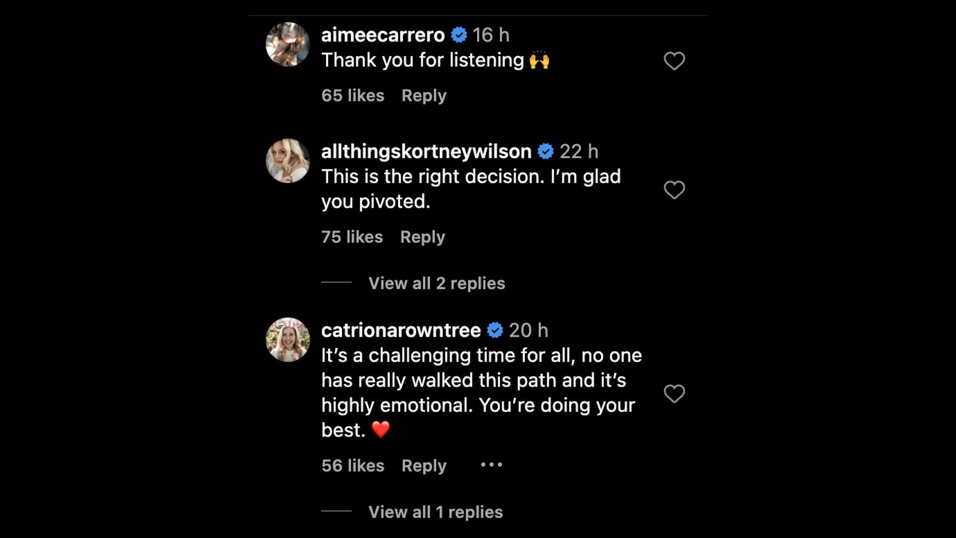 Netizens applauded Drew as she declared that she would be pausing the production of her show until the WGA strike ends. (Image via Instagram)