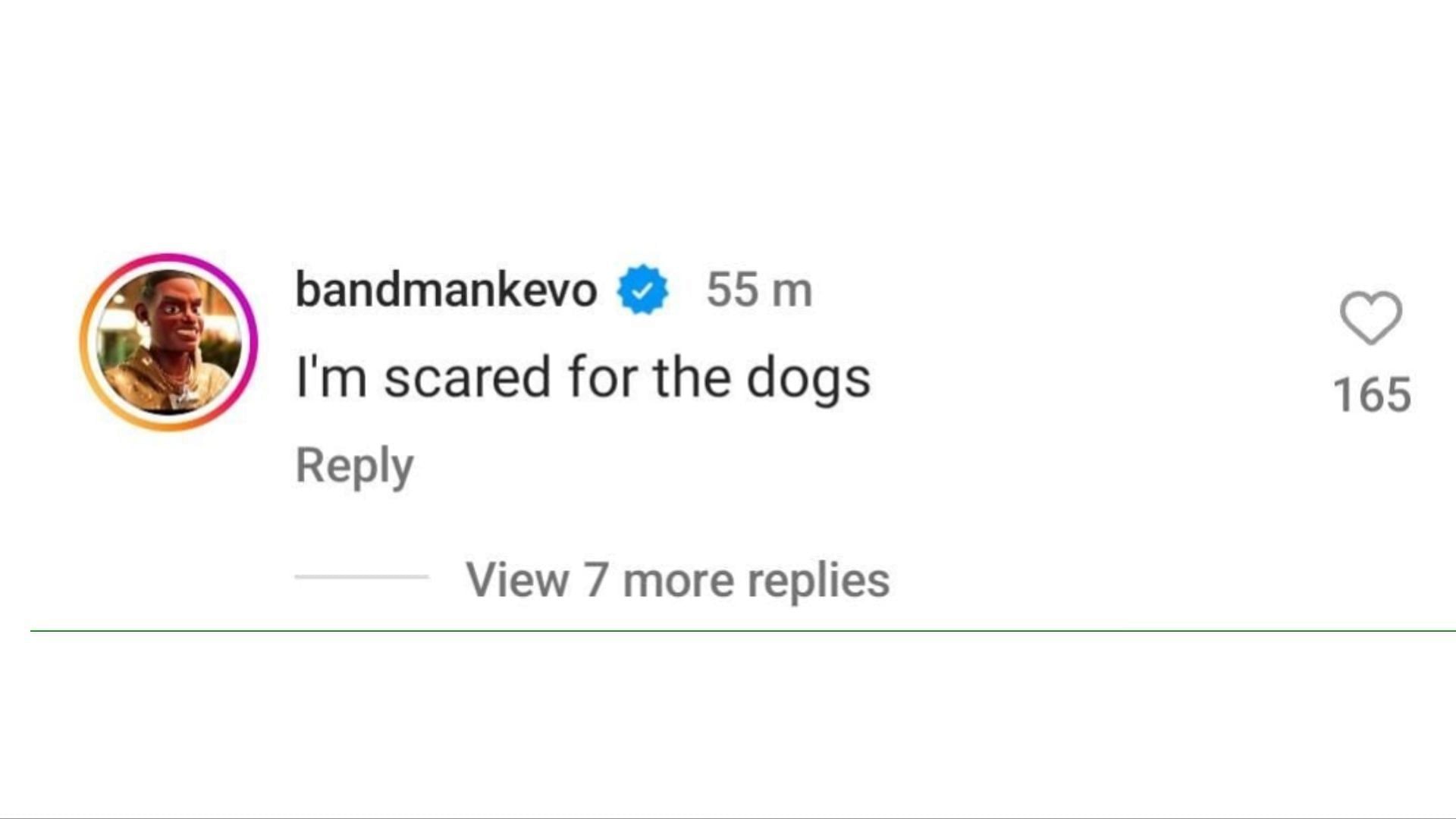A netizen points out that he is scared for Britney&#039;s dogs. (Image via Instagram/bandmankevo)