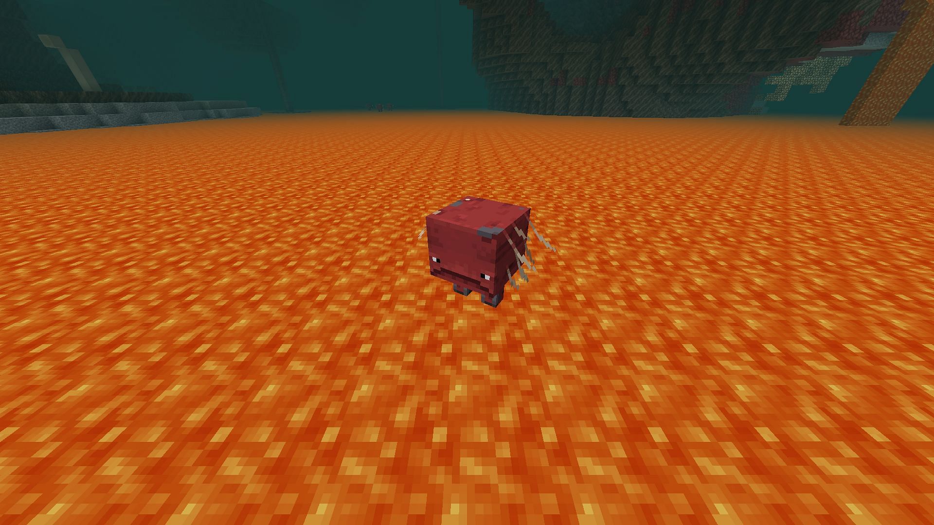 Striders can be ridden using saddles and warped fungus on a stick in Minecraft (Image via Mojang)
