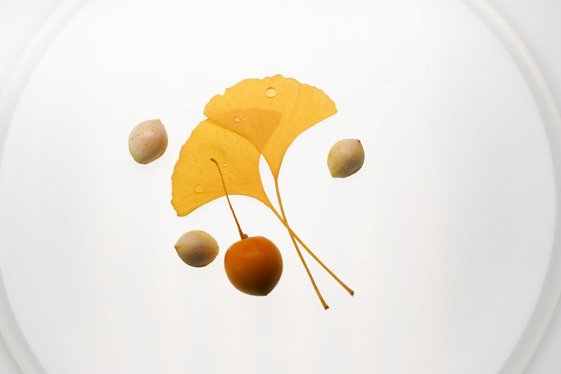 Ginkgo might not be safe for pregnant women. (Image via Unsplash/Olga Drach)