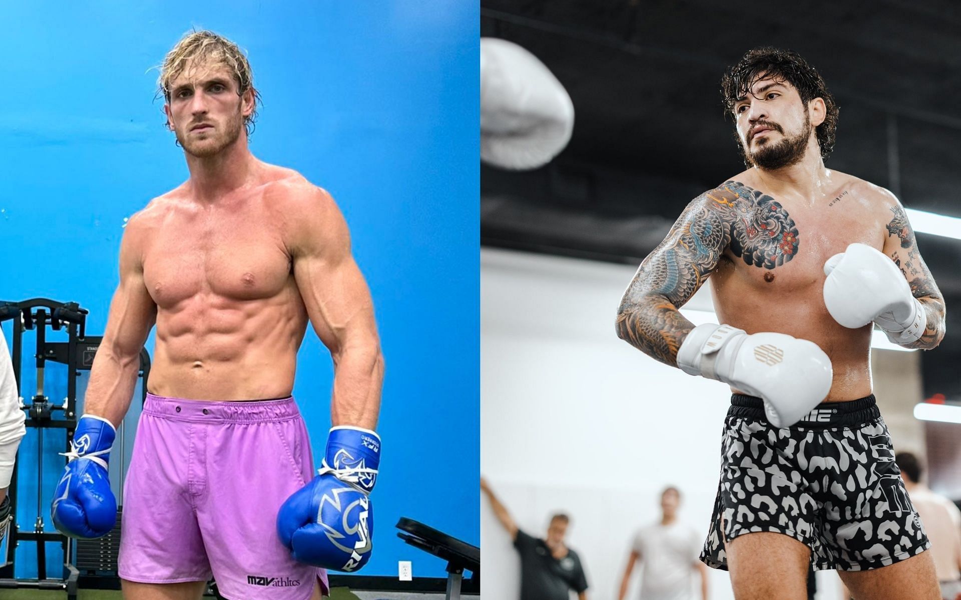 Logan Paul Vs. Dillon Danis: "Classic Scam Artist" - Dillon Danis ...