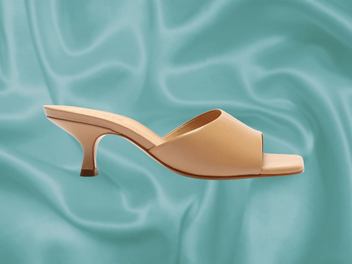 A closer look at the Schutz Dethalia Sandals ( Image via Schutz Website)