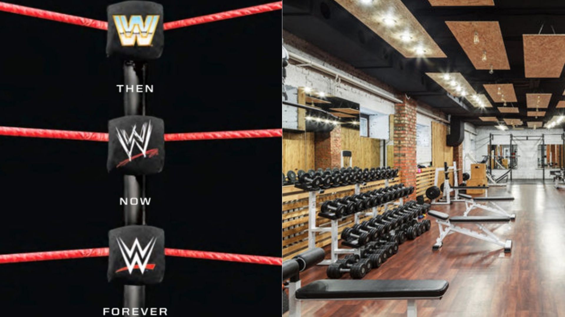WWE superstars love to hit the gym as a way to stay active in-between wrestling matches. 