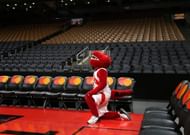 Toronto Raptors' Mascot, The Raptor