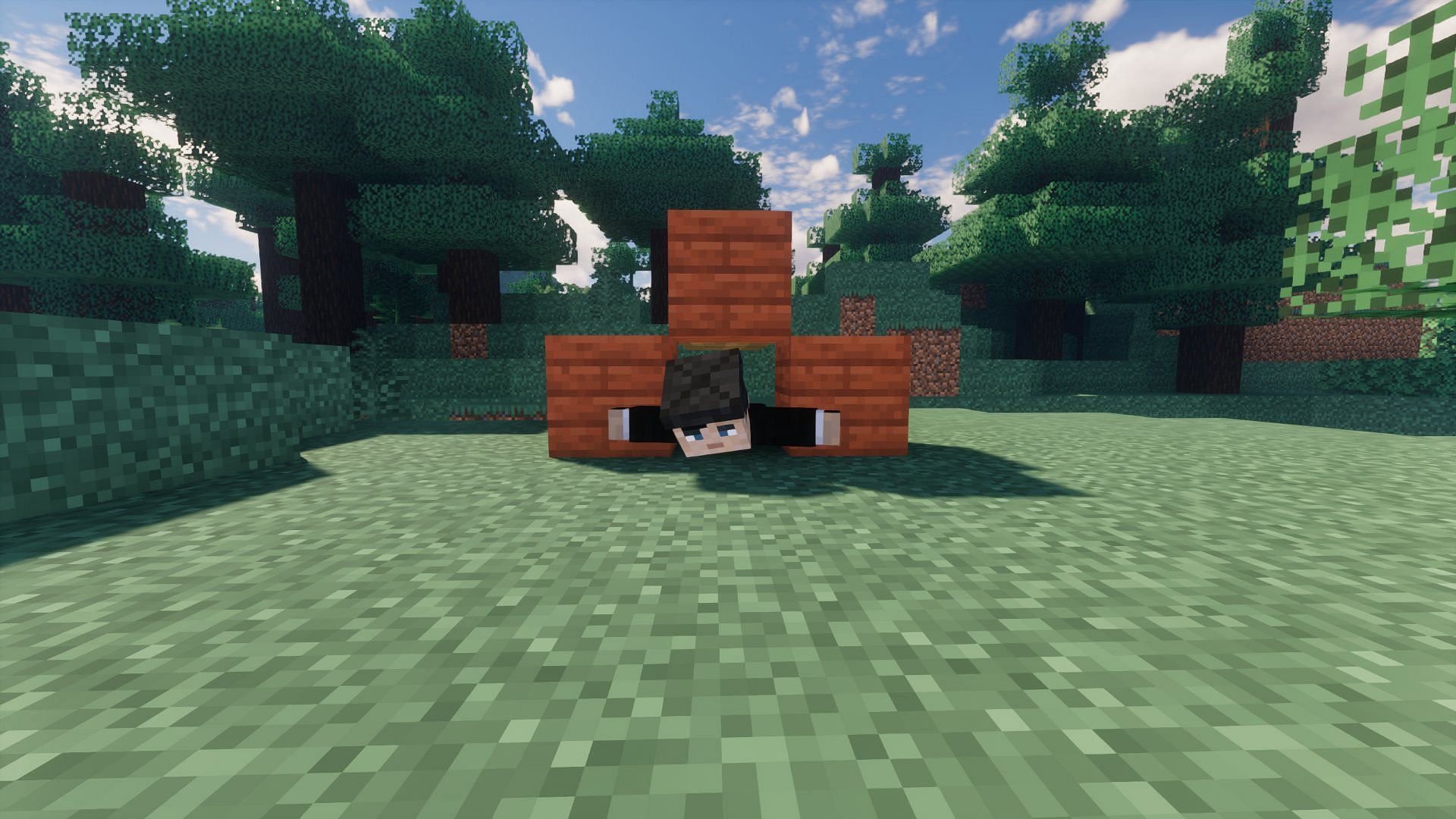 Crawling mechanism added to Bedrock (Image via Mojang)