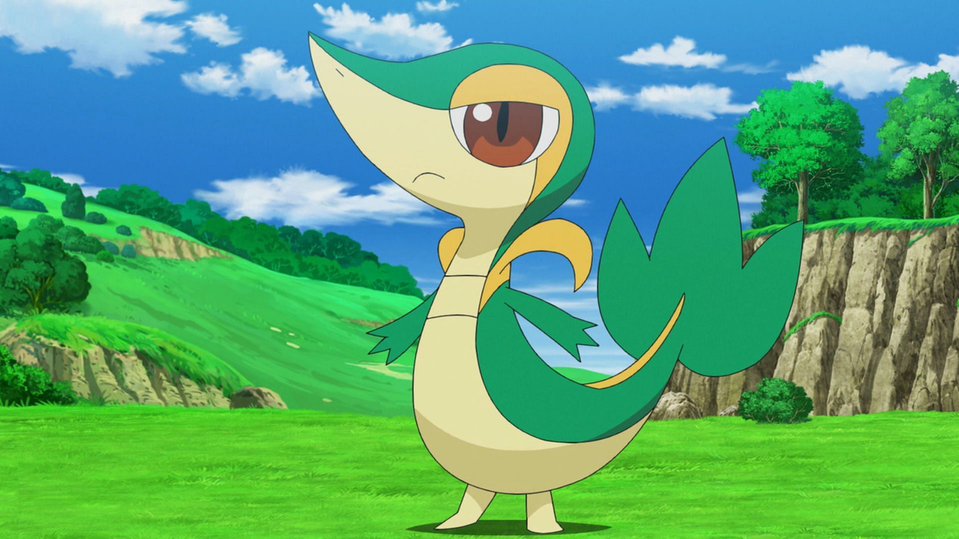 Snivy as seen in the anime (Image via The Pokemon Company)