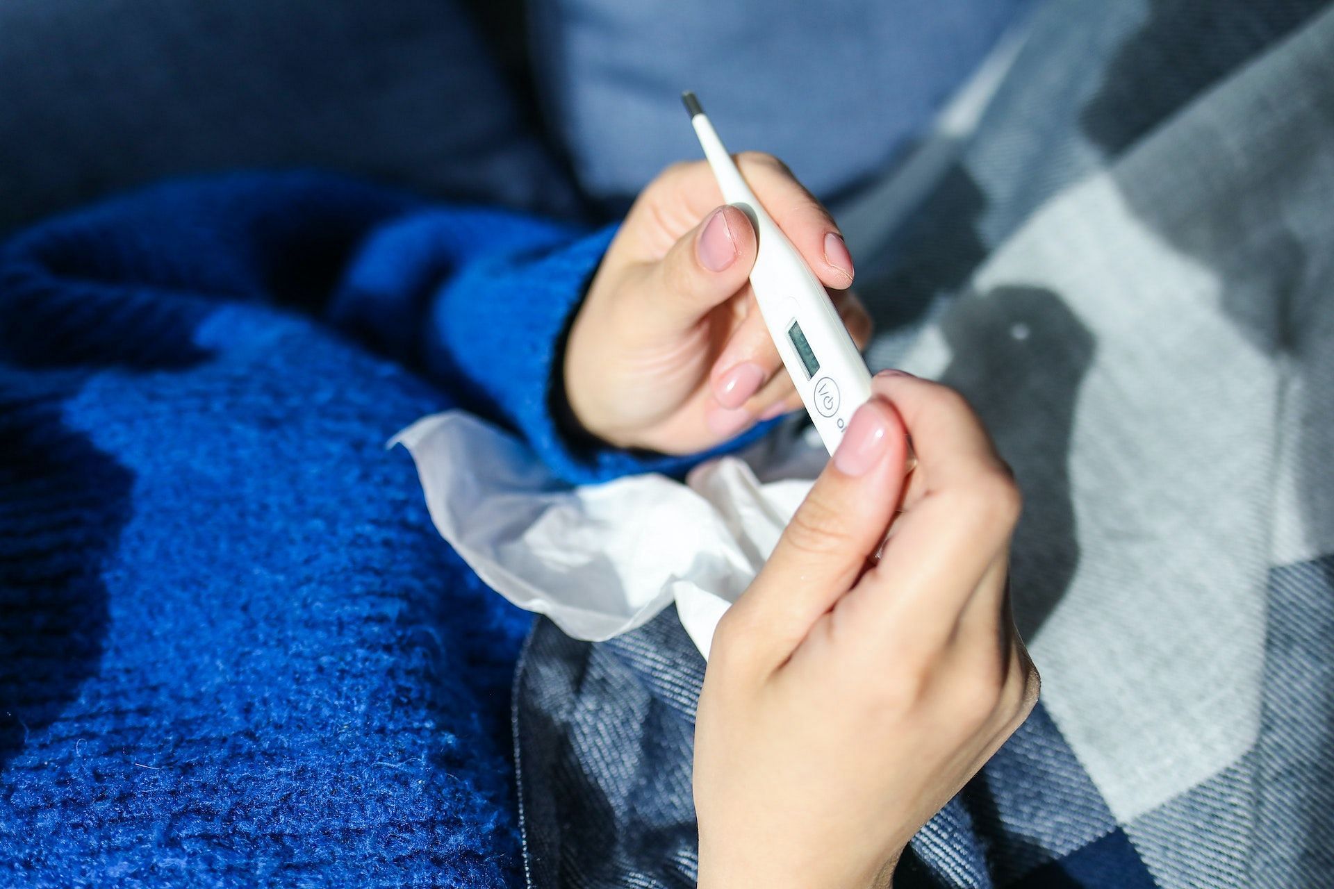 Sambong helps relieve fever. (Photo via Pexels/Polina Tankilevitch)