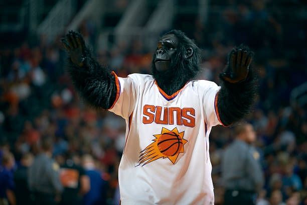 Phoenix Suns&#039; mascot, Go the Gorilla