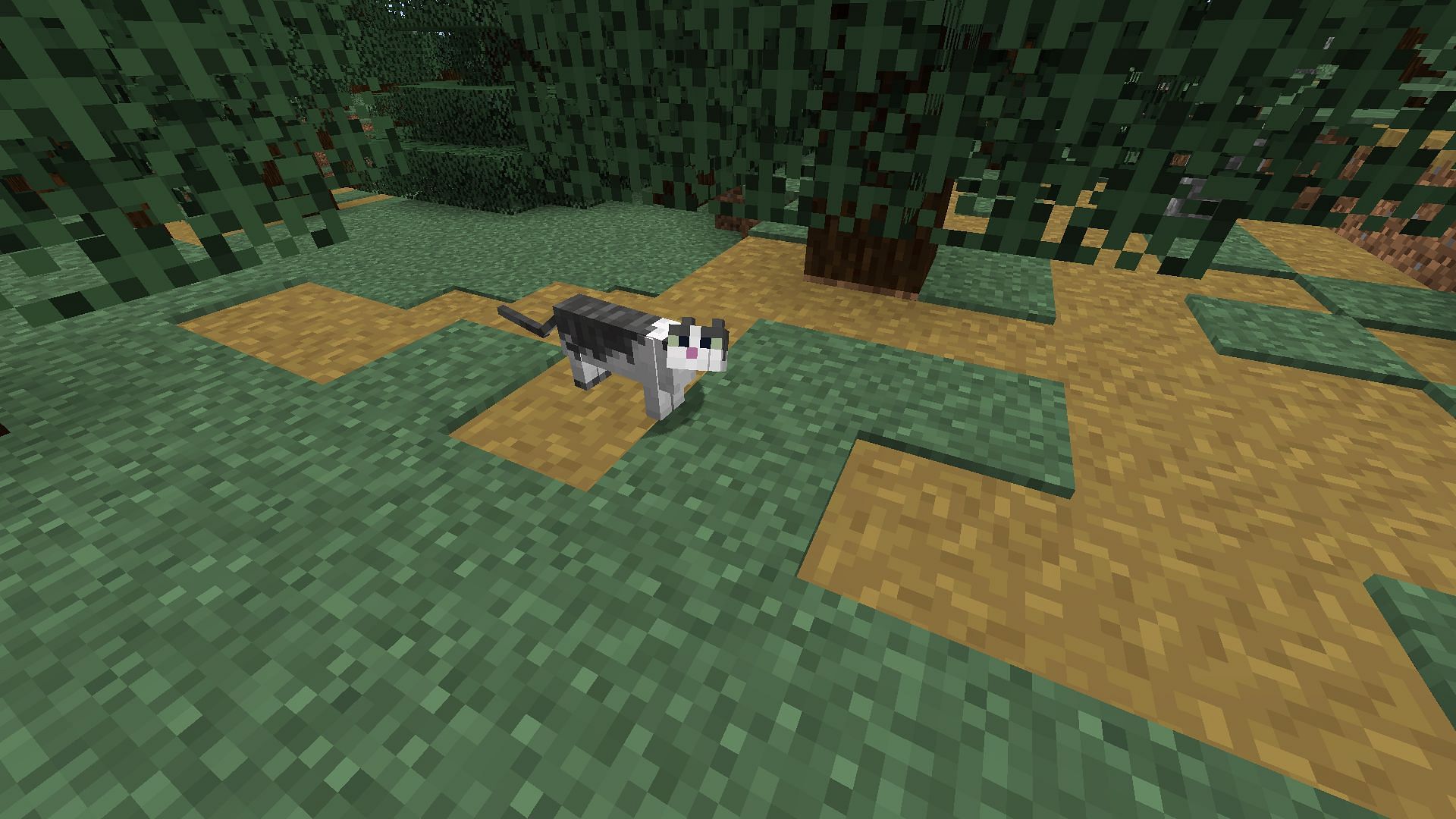 Cats can scare away creepers in Minecraft (Image via Mojang)