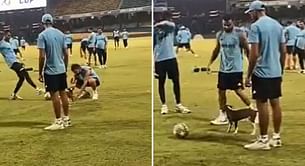 [Watch] Virat Kohli playing with cute puppy during practice session in Colombo ahead of Indo-Pak Asia Cup 2023 Super4 game