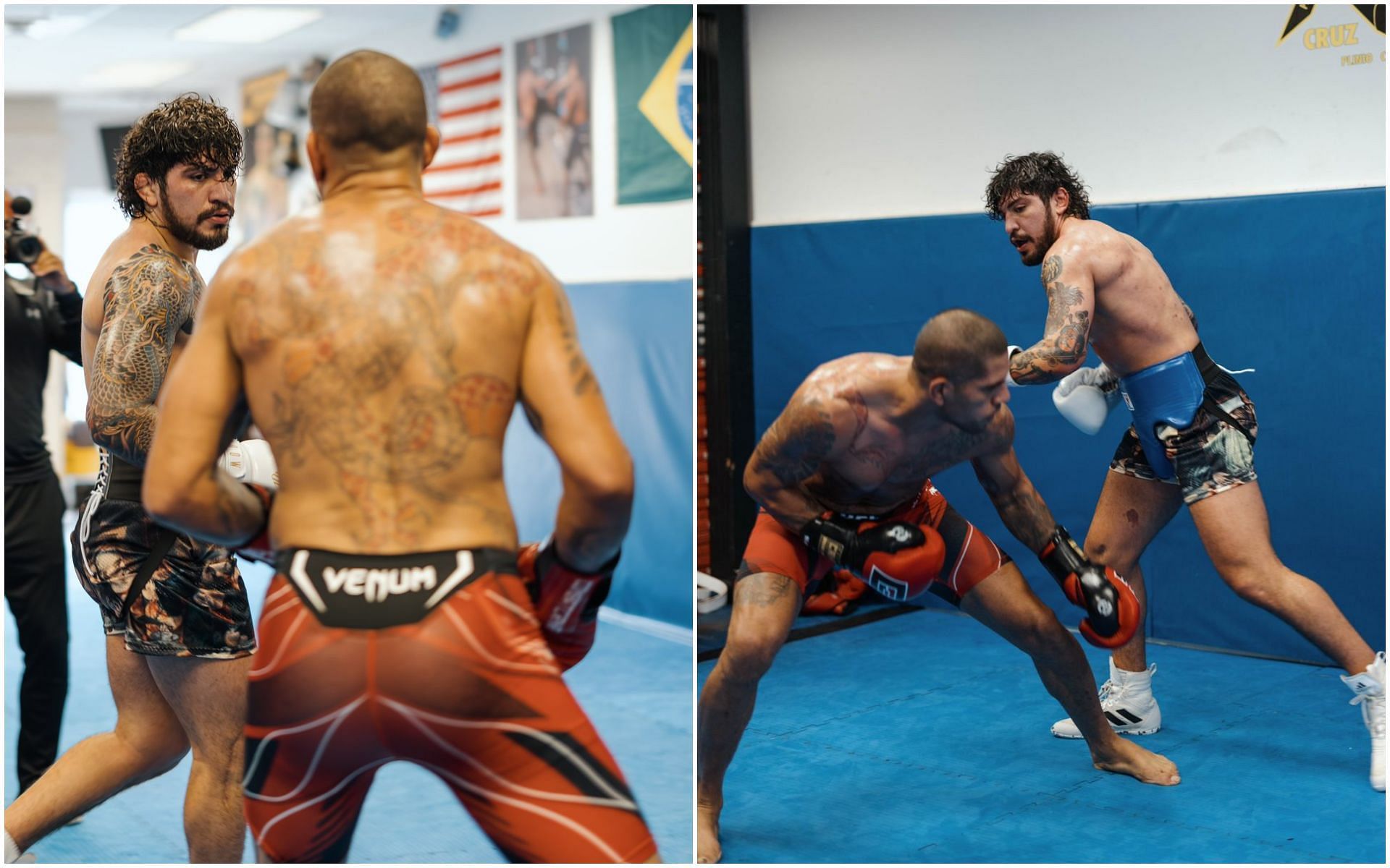 Dillon Danis sparring with Alex Pereira