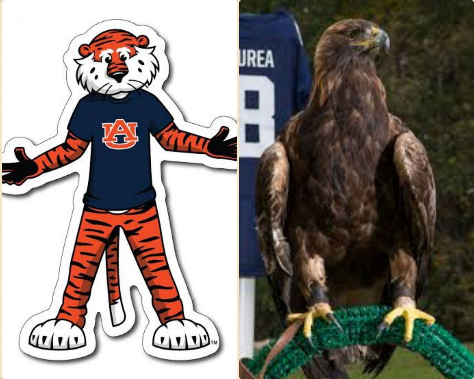 Why does Auburn have 2 mascots, War Eagle and Tiger?