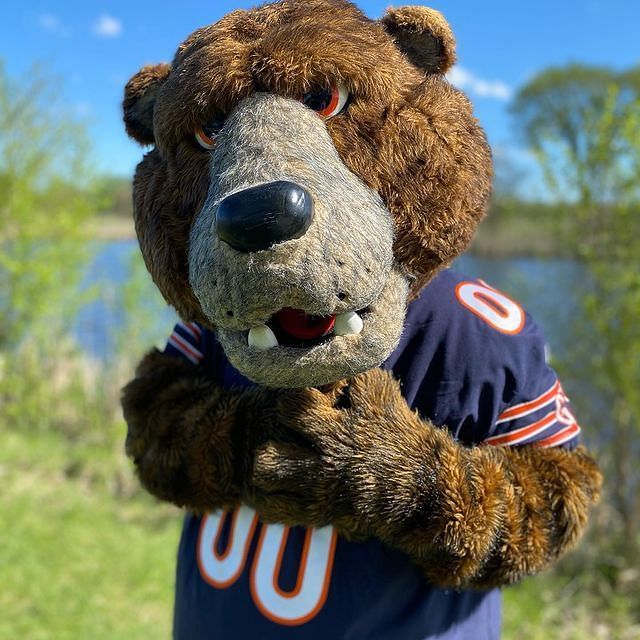 Bears mascot - Staley Da Bear