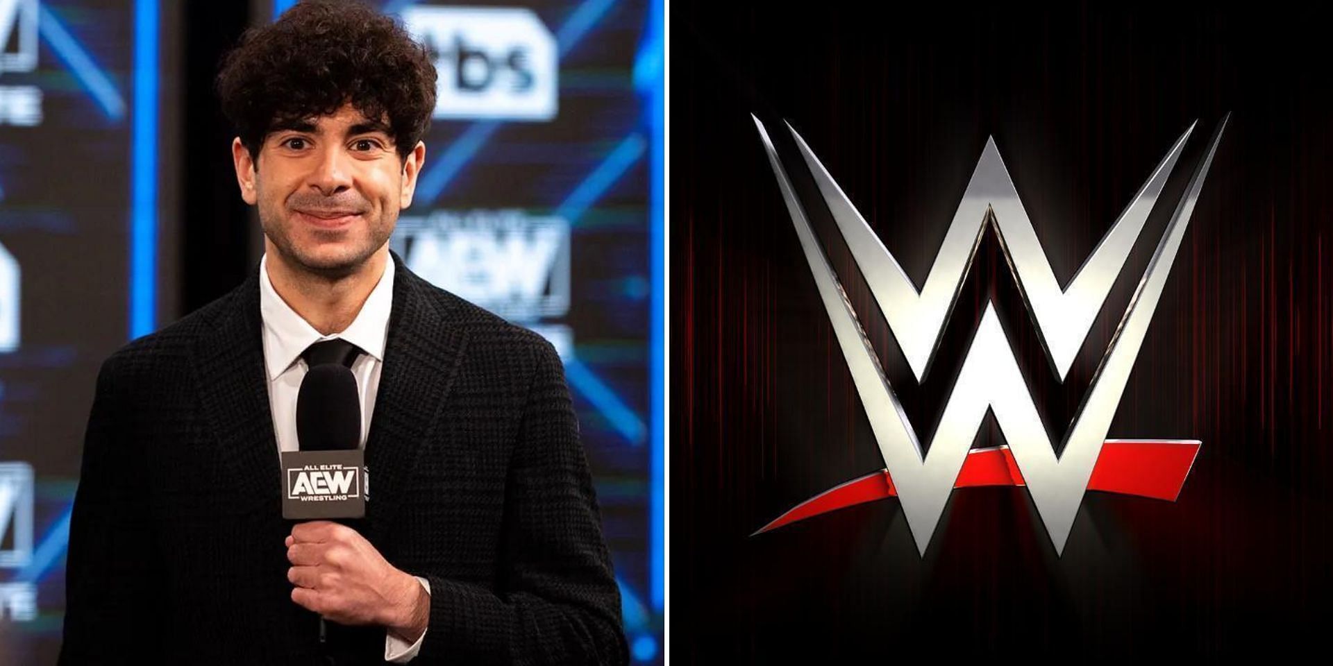 A WWE veteran thinks Tony Khan would sign this released wrestler