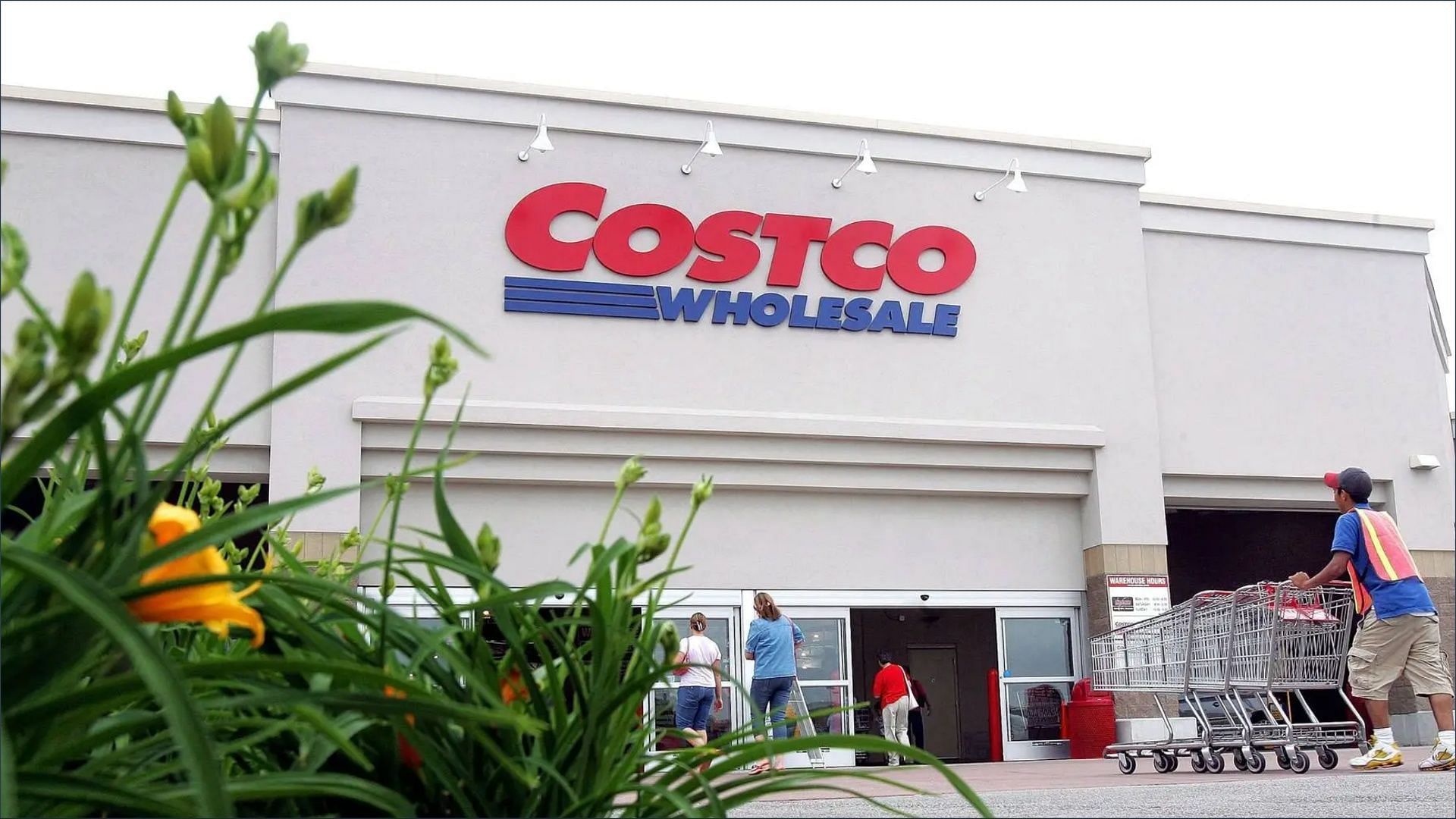 Costco introduces a new membership promotion (Image via Tim Boyle / Getty Images)