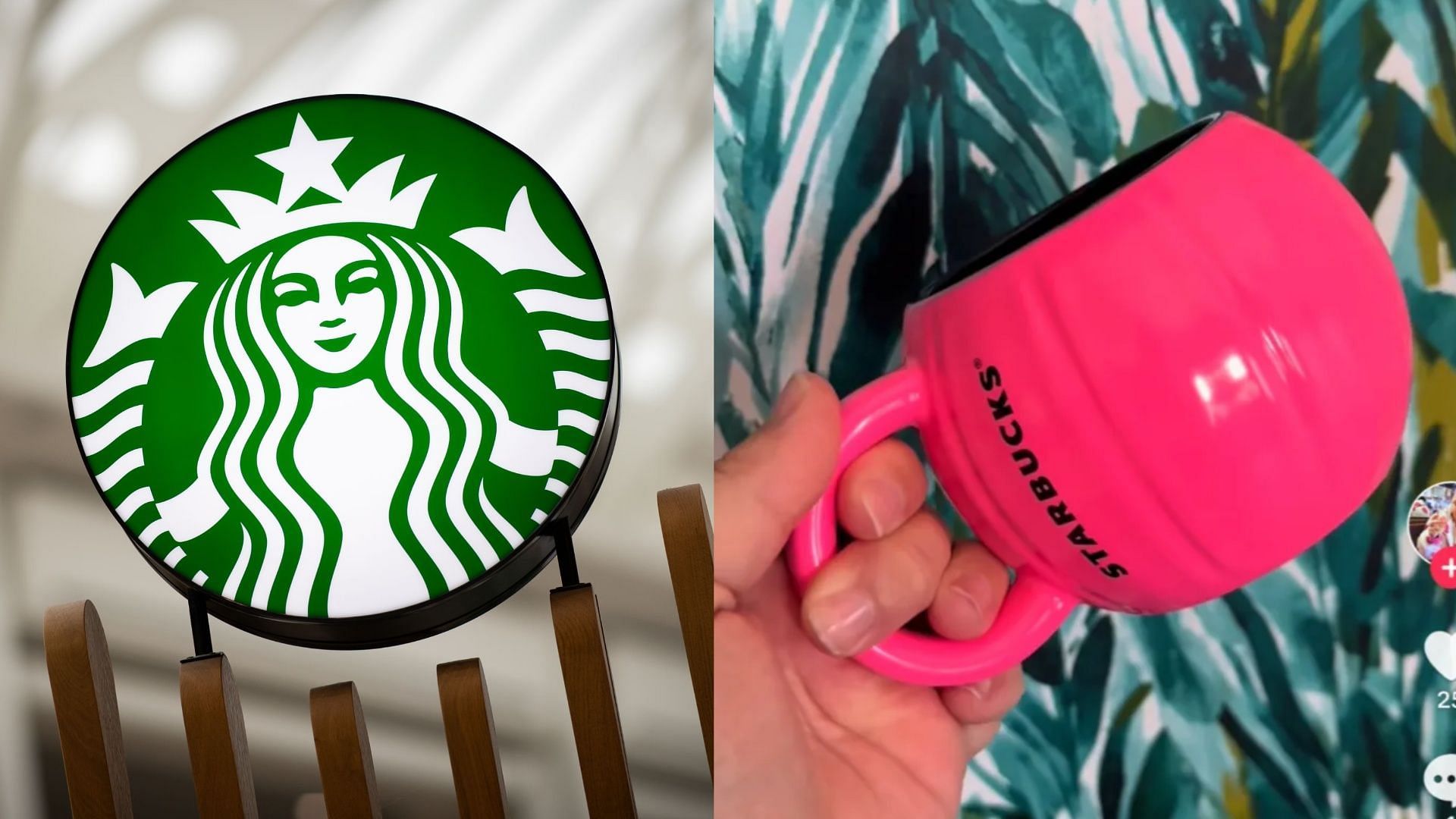 Rumored Starbucks Pink Pumpkin Mug being sold on eBay (Image via AFP / Getty Images / @madkat.13 on TikTok)