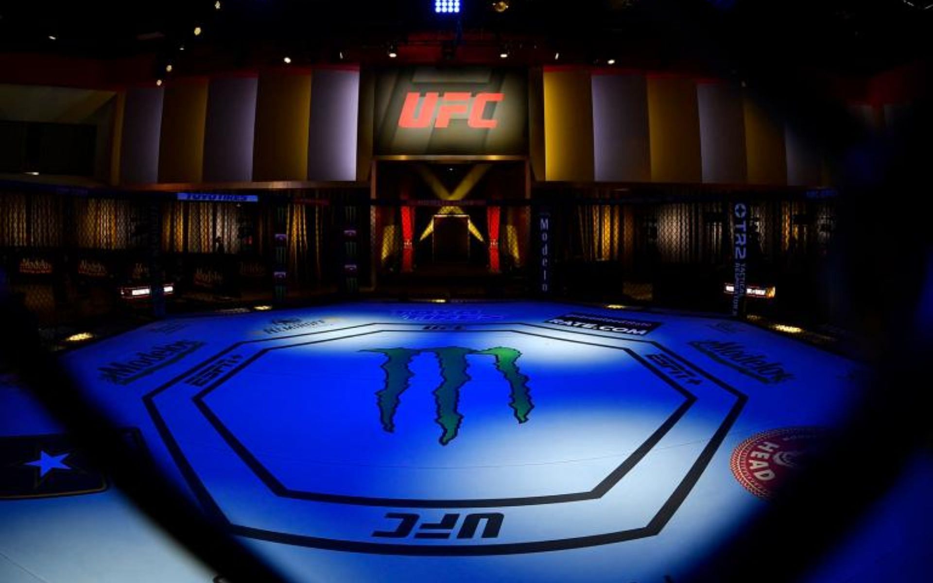 Empty UFC octagon [via ufc.com]