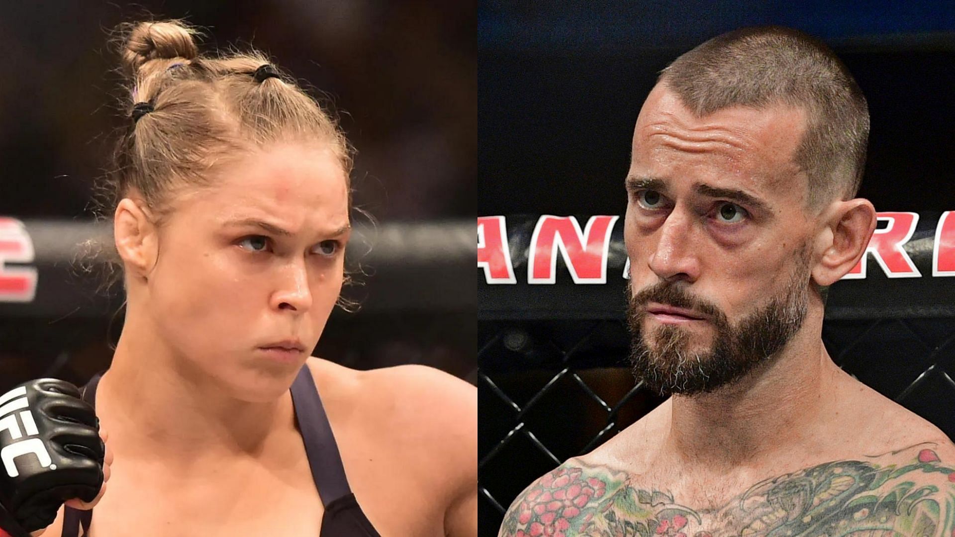 Who would win in a fight between CM Punk and Ronda Rousey?